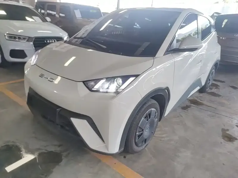 BYD Seagull, 2023