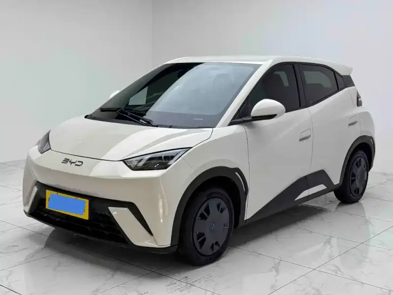BYD Seagull, 2024