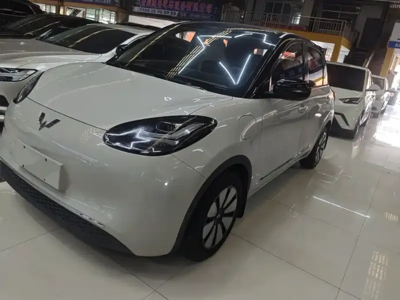 Wuling Bingo, 2024