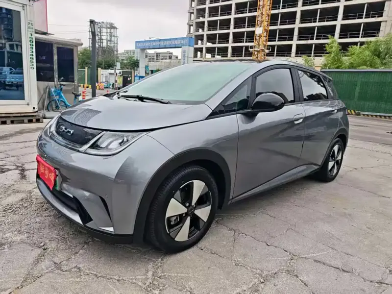 BYD Dolphin, 2024
