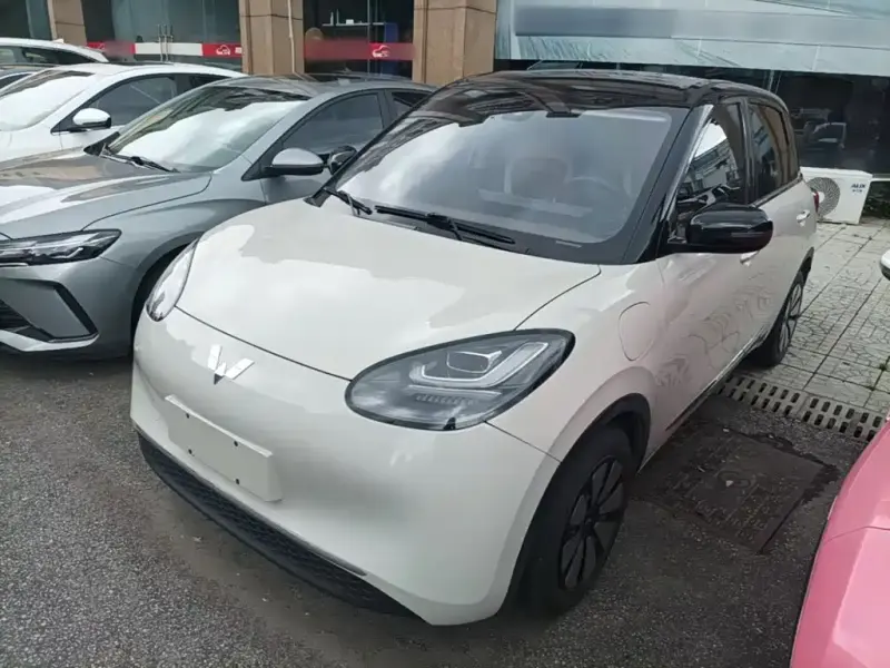 Wuling Bingo, 2024