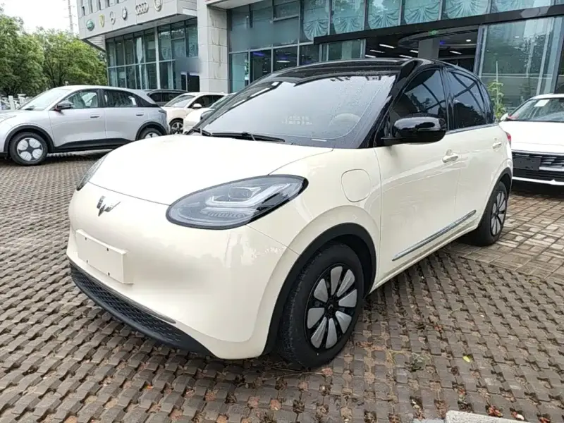 Wuling Bingo, 2025