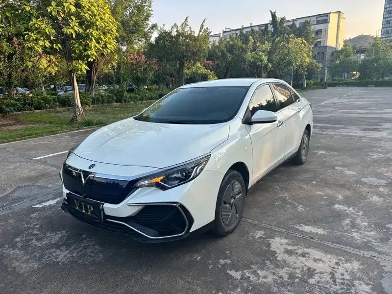 Venucia D60 EV, 2024
