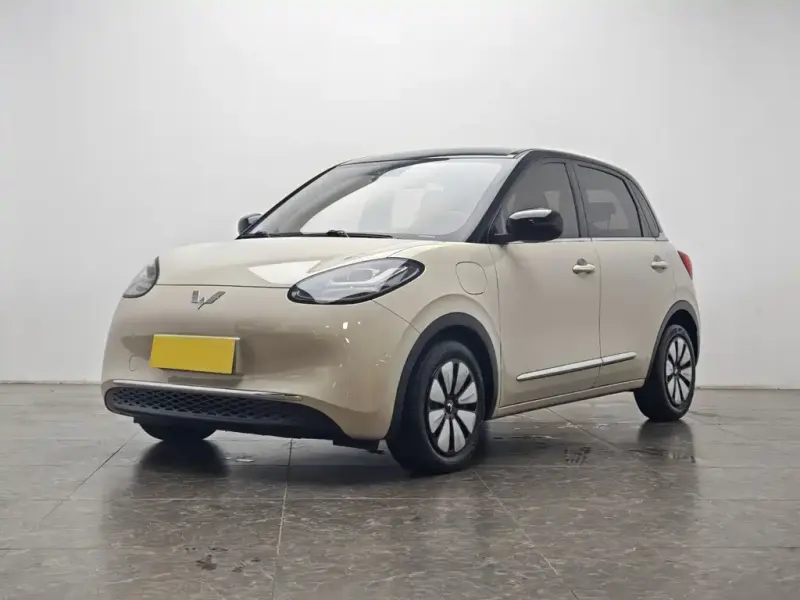 Wuling Bingo, 2024