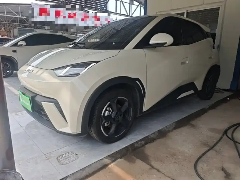 BYD Seagull, 2024