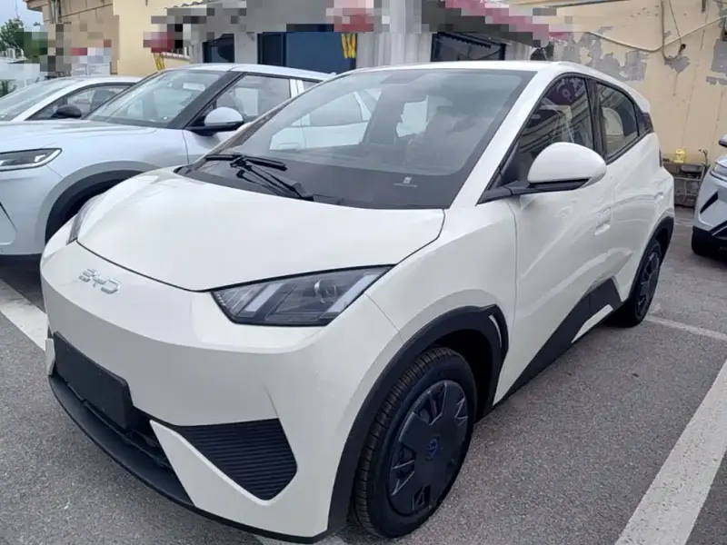 BYD Seagull, 2026