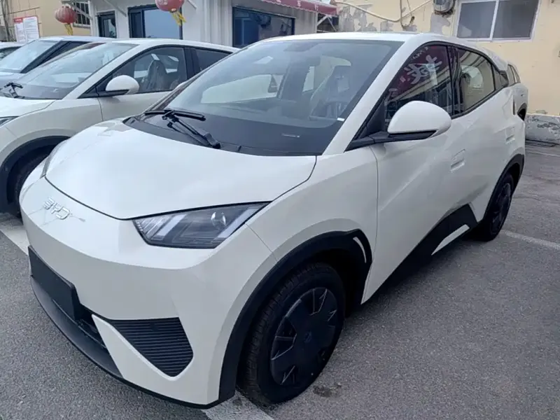 BYD Seagull, 2026