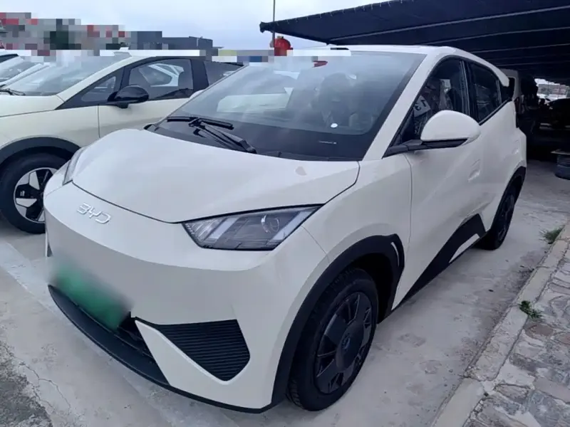 BYD Seagull, 2026