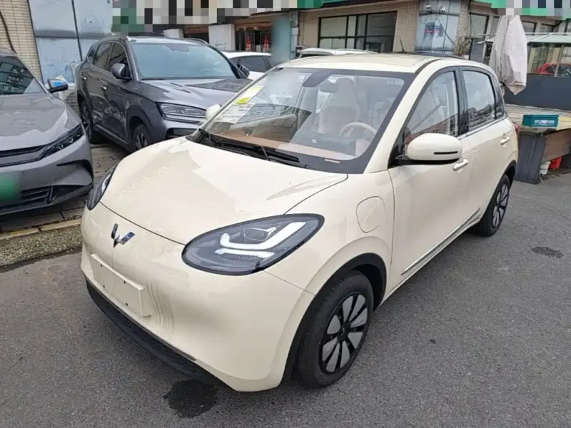 Wuling Bingo, 2026