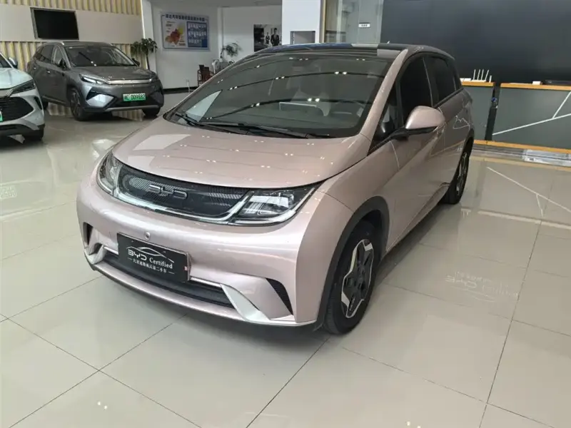 BYD Dolphin, 2022