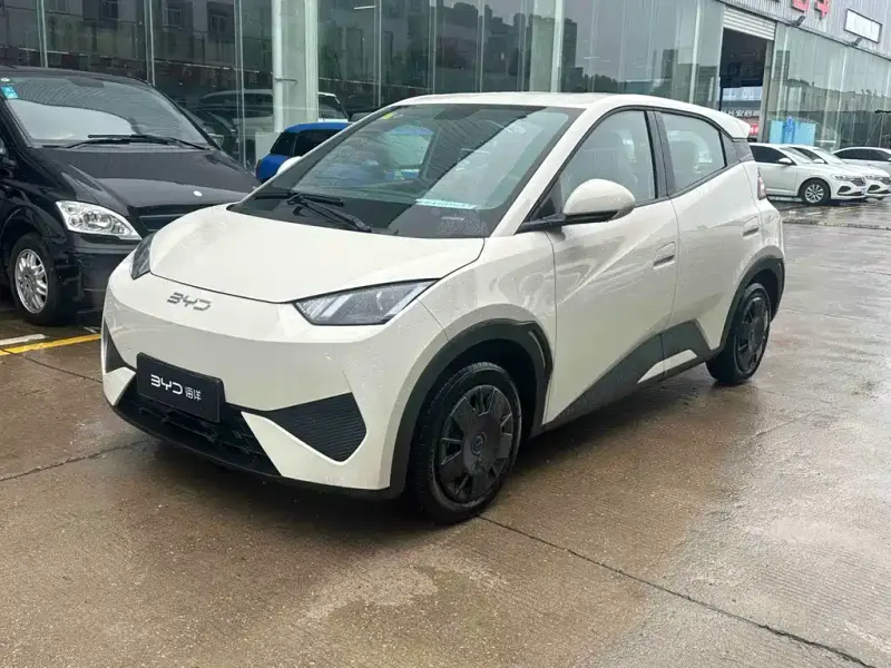 BYD Seagull, 2026