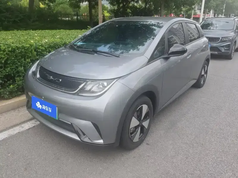 BYD Dolphin, 2024
