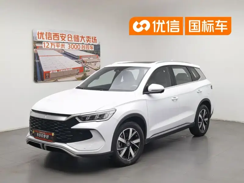 BYD Pro New Energy, 2024