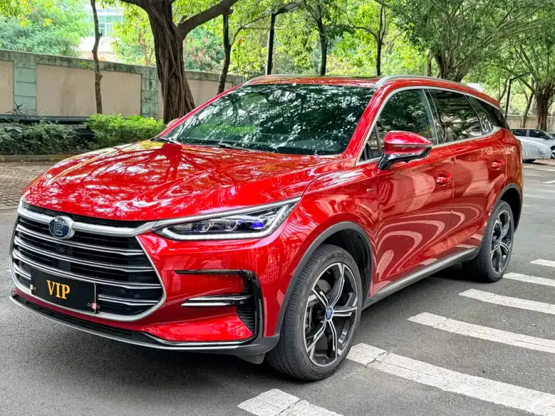 BYD Tang New Energy, 2020