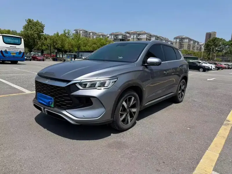 BYD Pro New Energy, 2024