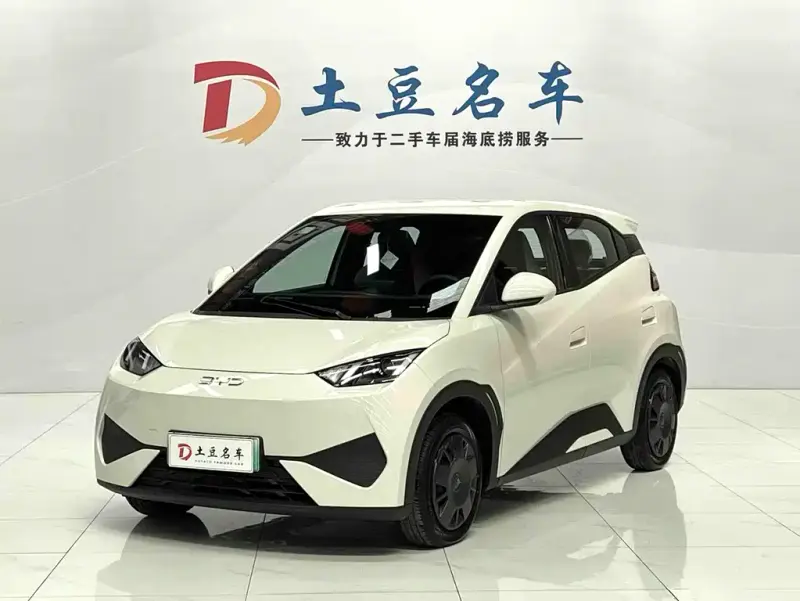BYD Seagull, 2026