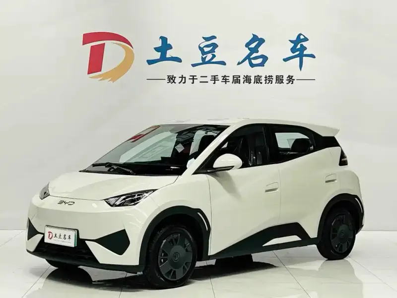 BYD Seagull, 2026