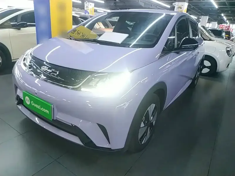 BYD Dolphin, 2024