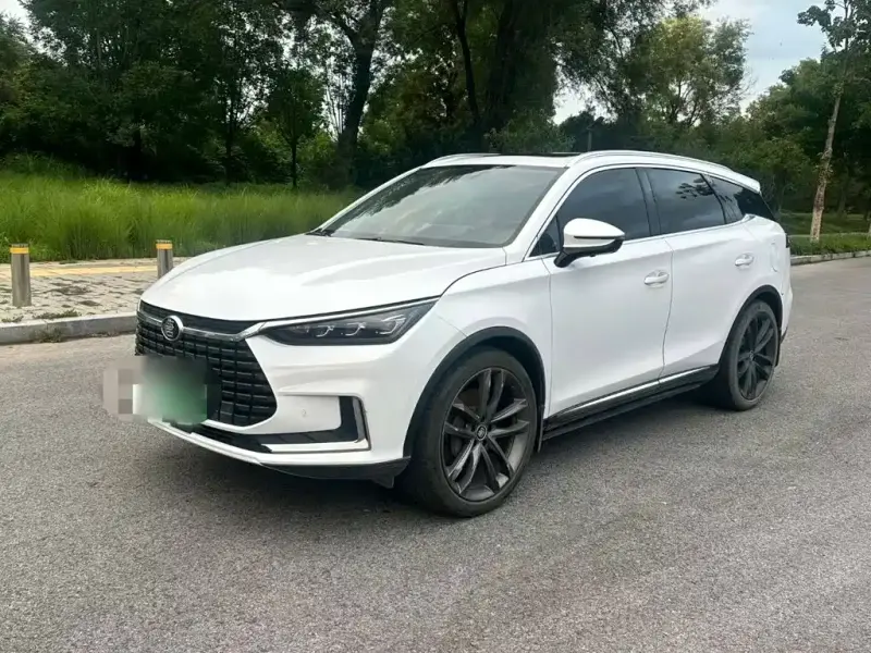 BYD Tang New Energy, 2019