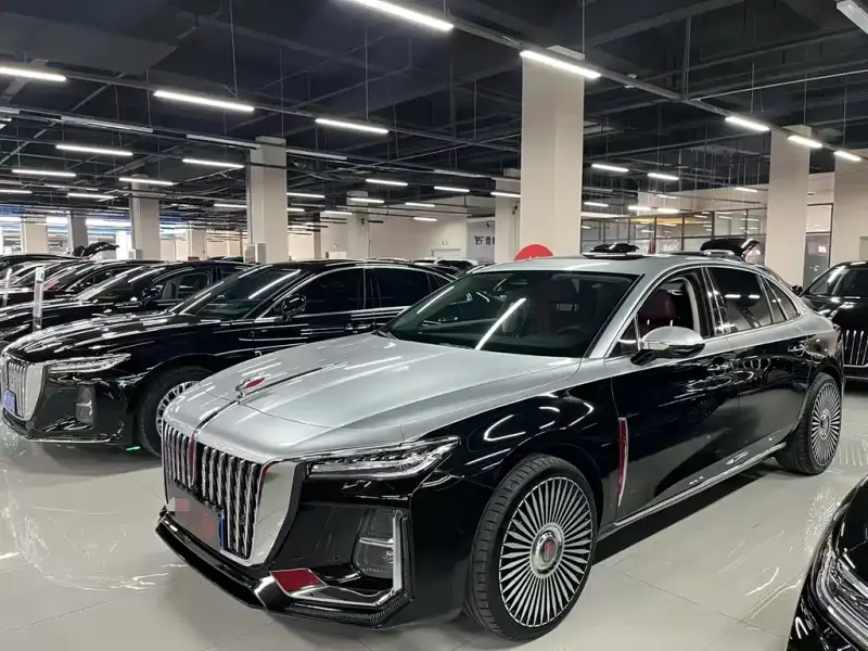 Hongqi H5, 2022