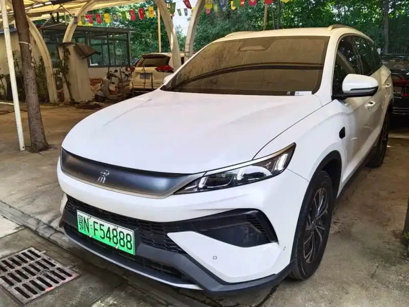 BYD Pro New Energy, 2025