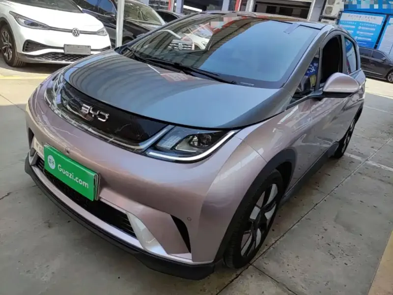 BYD Dolphin, 2024