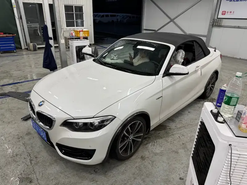 BMW 2 Series (Import), 2018