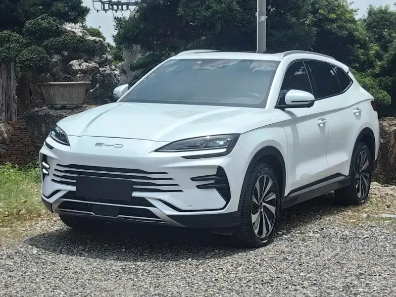 BYD PLUS New Energy, 2024