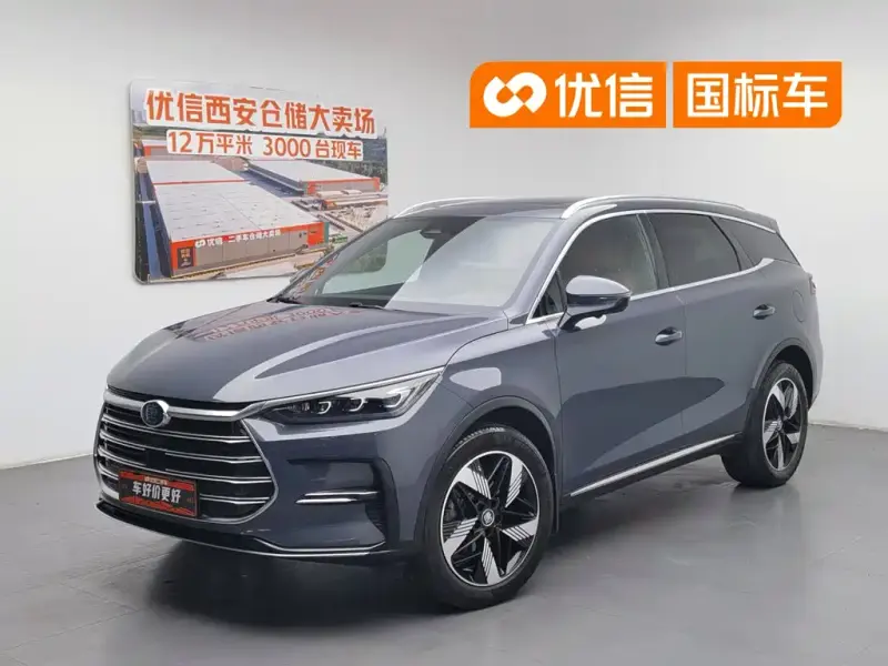 BYD Tang New Energy, 2023