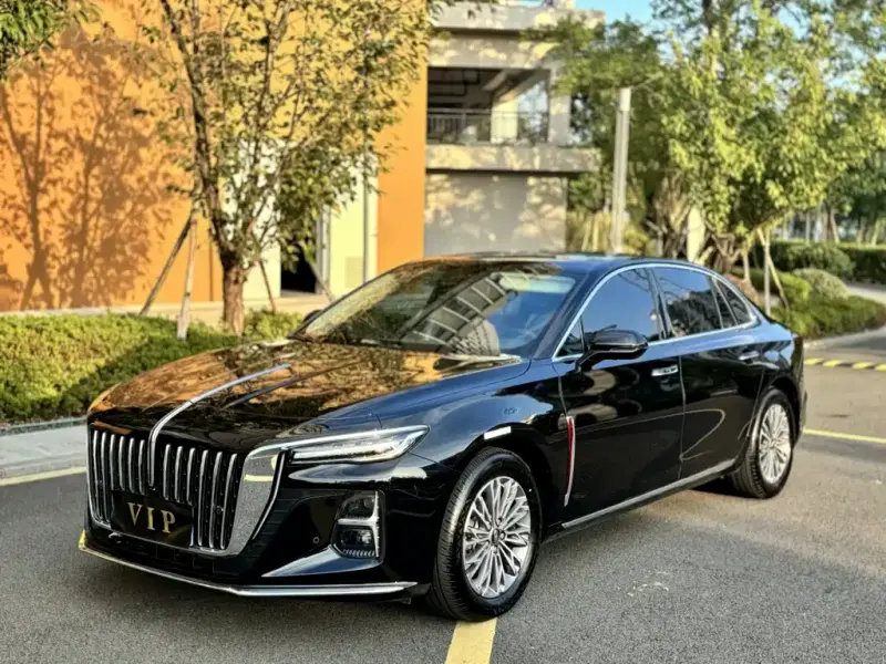 Hongqi H5, 2024