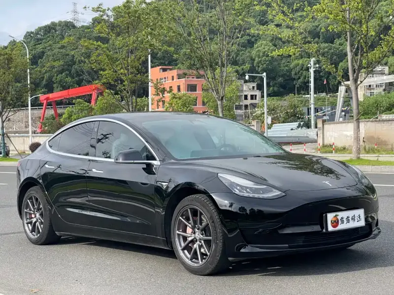 Tesla Model 3, 2020