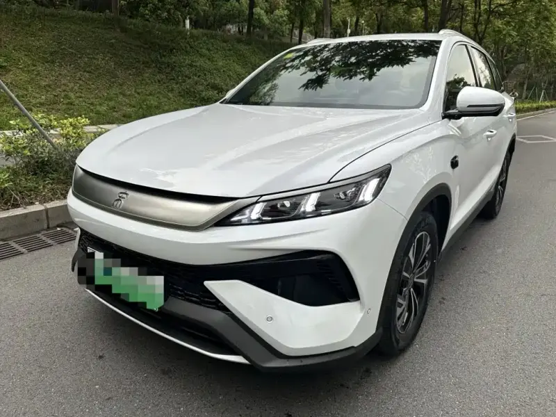 BYD Pro New Energy, 2025