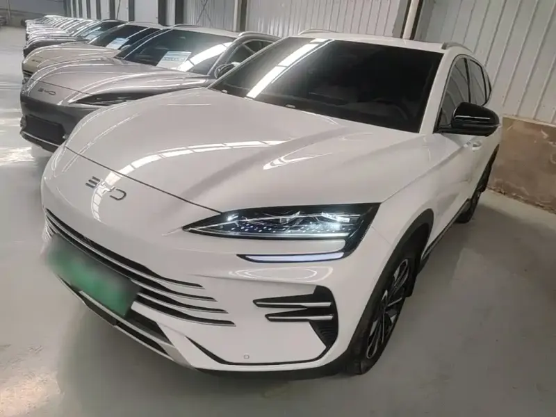 BYD PLUS New Energy, 2024
