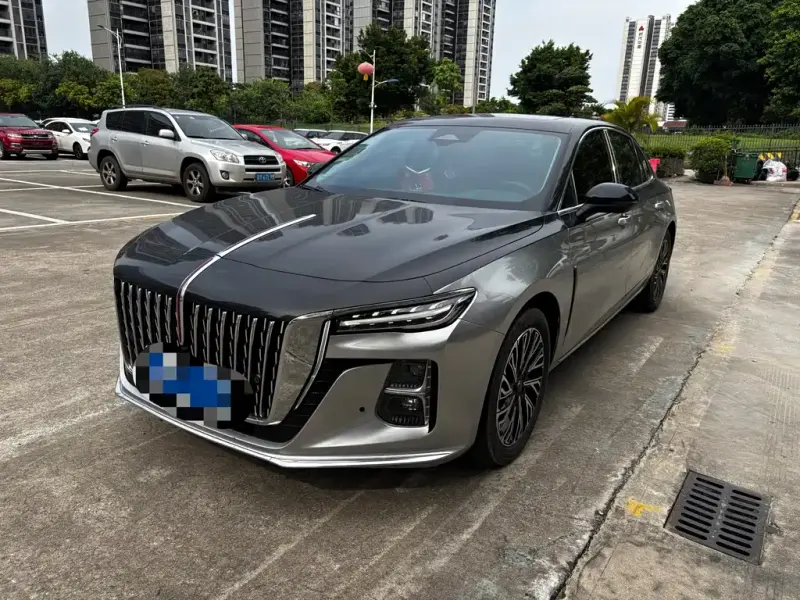 Hongqi H5, 2024
