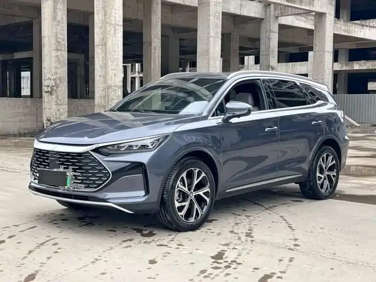 BYD Tang New Energy, 2024