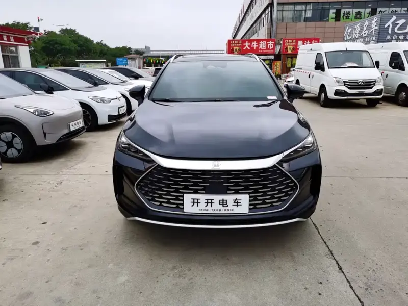BYD Tang New Energy, 2023