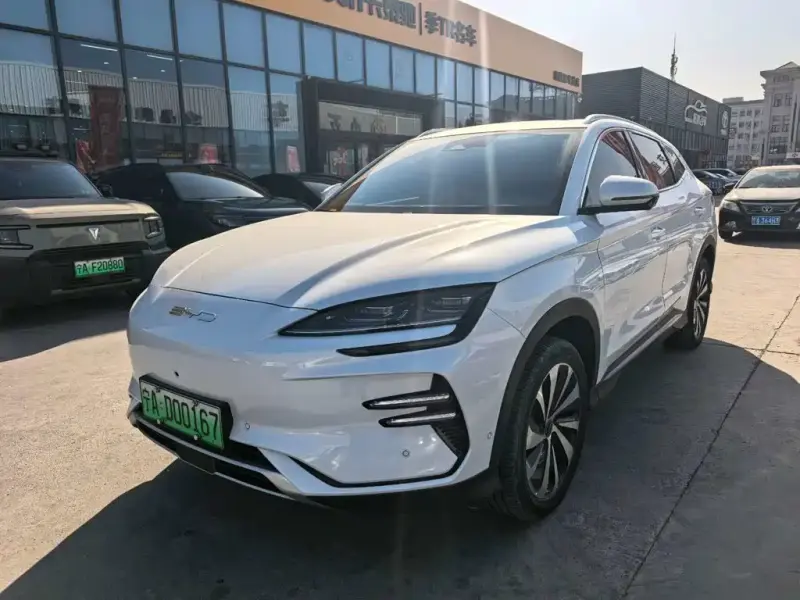 BYD PLUS New Energy, 2023