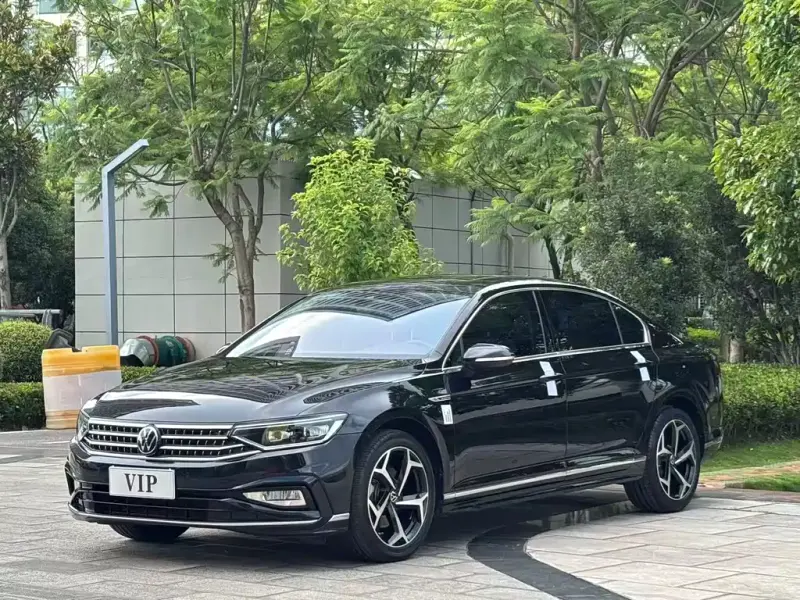 Volkswagen Magotan, 2024