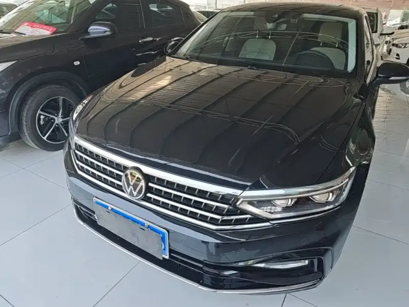 Volkswagen Magotan, 2024