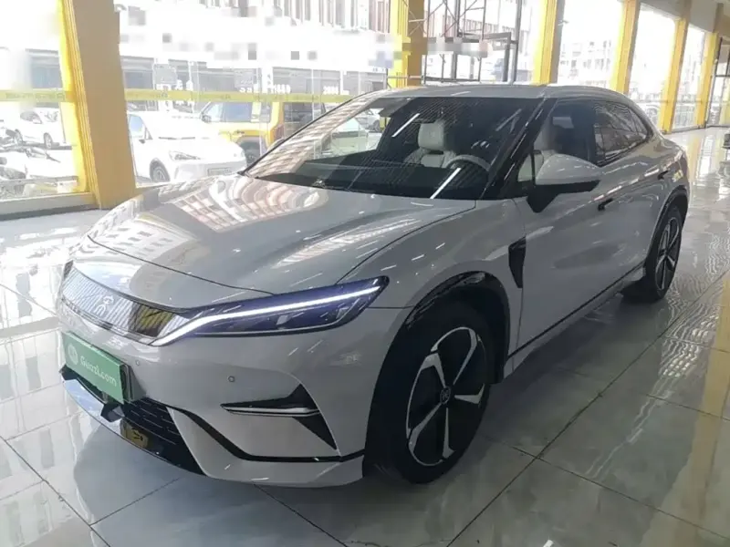 BYD L EV, 2024