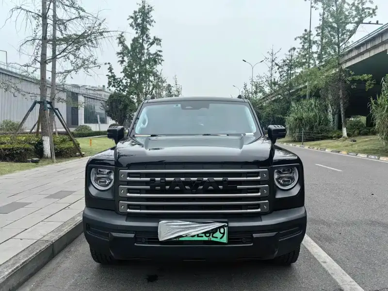 Haval Menglong New Energy, 2024
