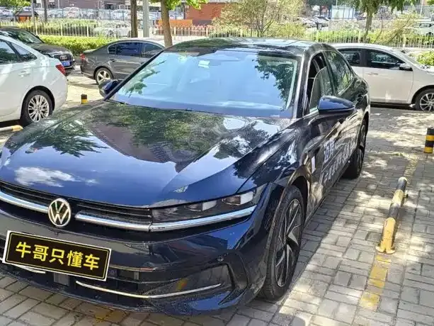 Volkswagen Magotan, 2024