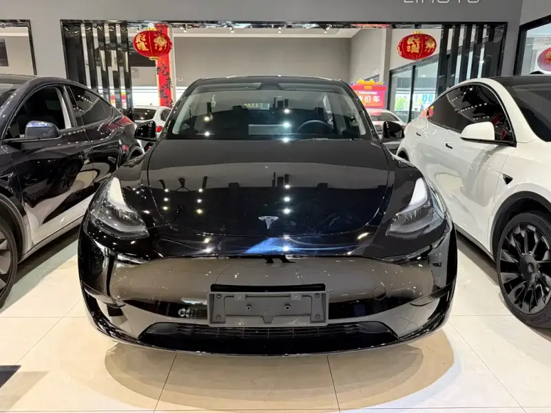 Tesla Model Y, 2024