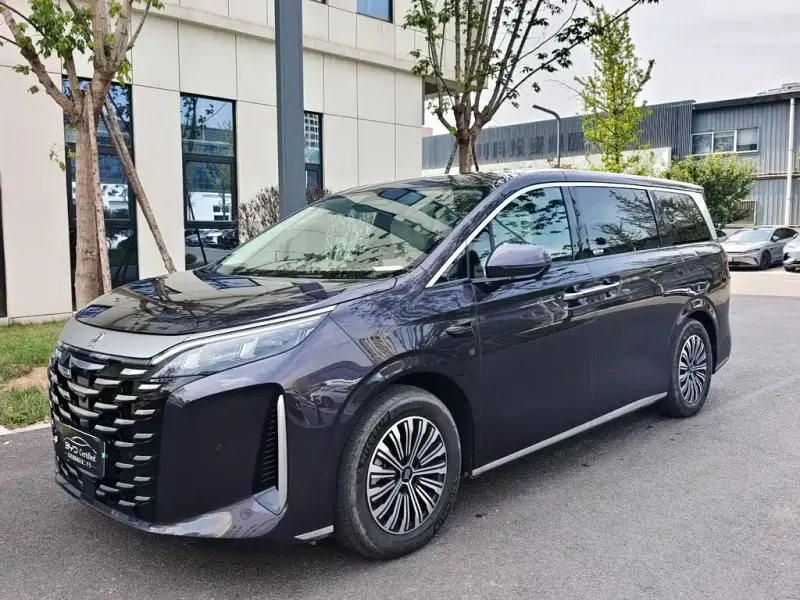 BYD Xia, 2025