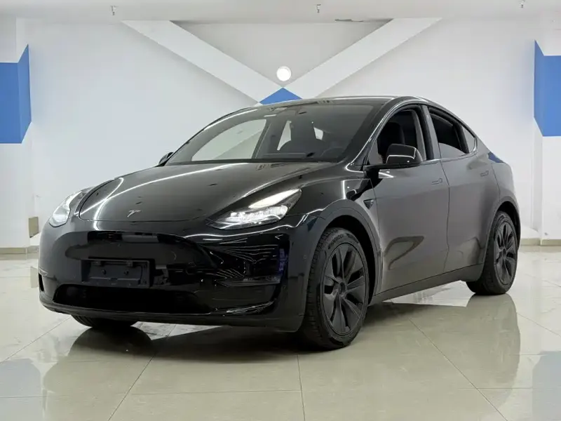 Tesla Model Y, 2024