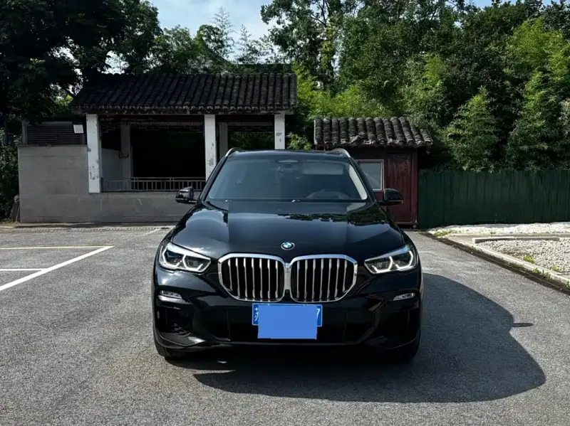 BMW X5 (Import), 2019