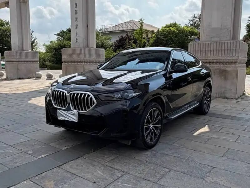 BMW X6, 2023