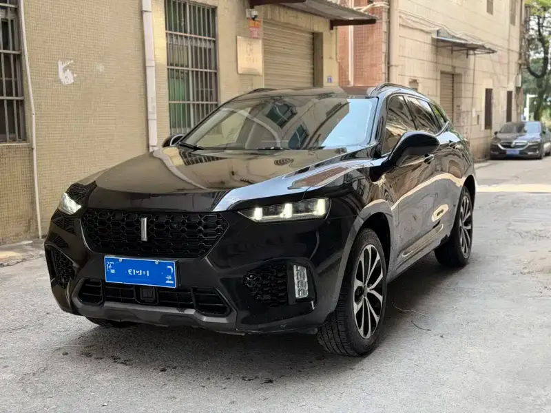 Wey VV7, 2018