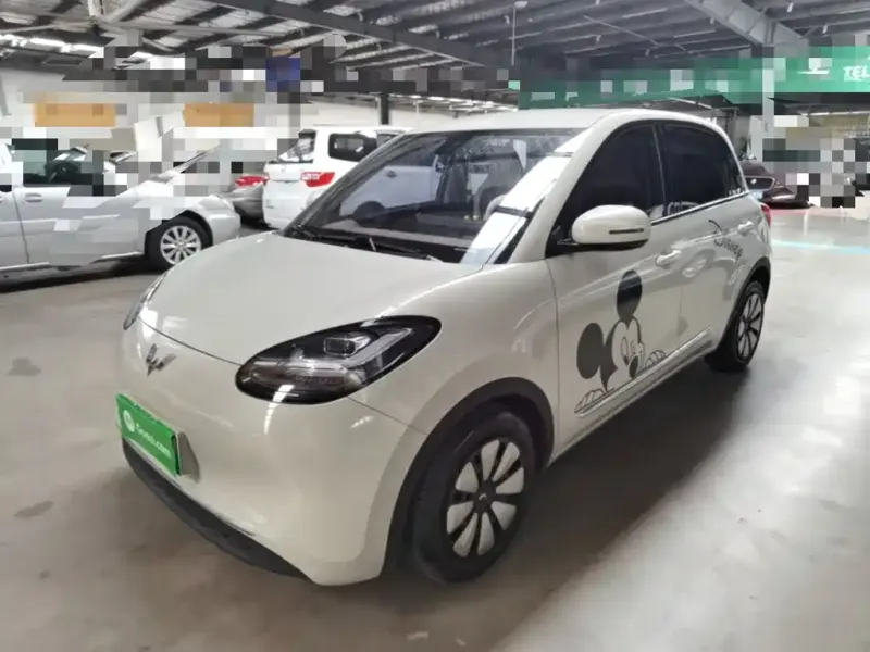 Wuling Bingo, 2024