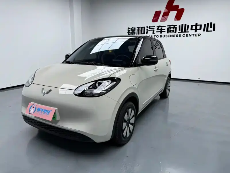 Wuling Bingo, 2025